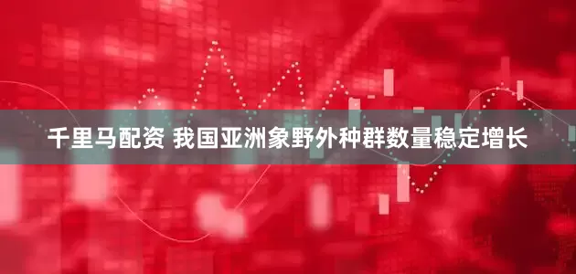 千里马配资 我国亚洲象野外种群数量稳定增长